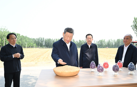 世界杯怎么下赌注