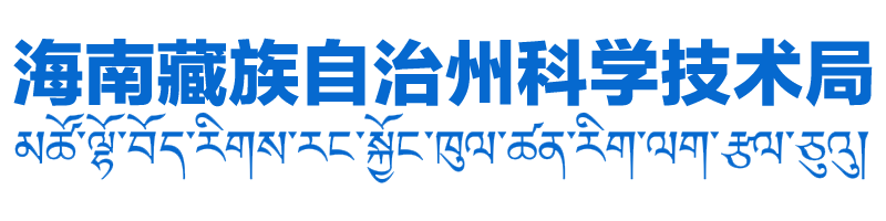 世界杯怎么下赌注